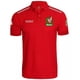 thumbnail image 1 of Playera Polo Selección Nacional De Mexico Futbol*cab., 1 of 6