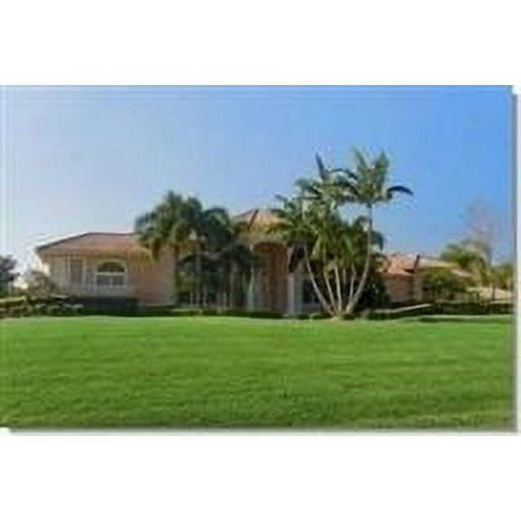 Dibbs Seed Argentine Bahia Grass Seeds, 1 lb - 100% Raw Drought Tolerant Deep Rooted