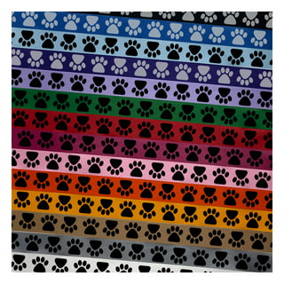 Multi-Colored Paw Print Ribbon - Veterinary Wisdom