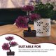 thumbnail image 3 of Artificial Potted Plants Desktop Faux Potted Plants Bonsai Ornament for Home, 3 of 3