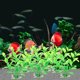 thumbnail image 5 of Planta de acuario, decoración de plantas de pecera artificial de plástico, juego de 10 piezas, 5 of 5