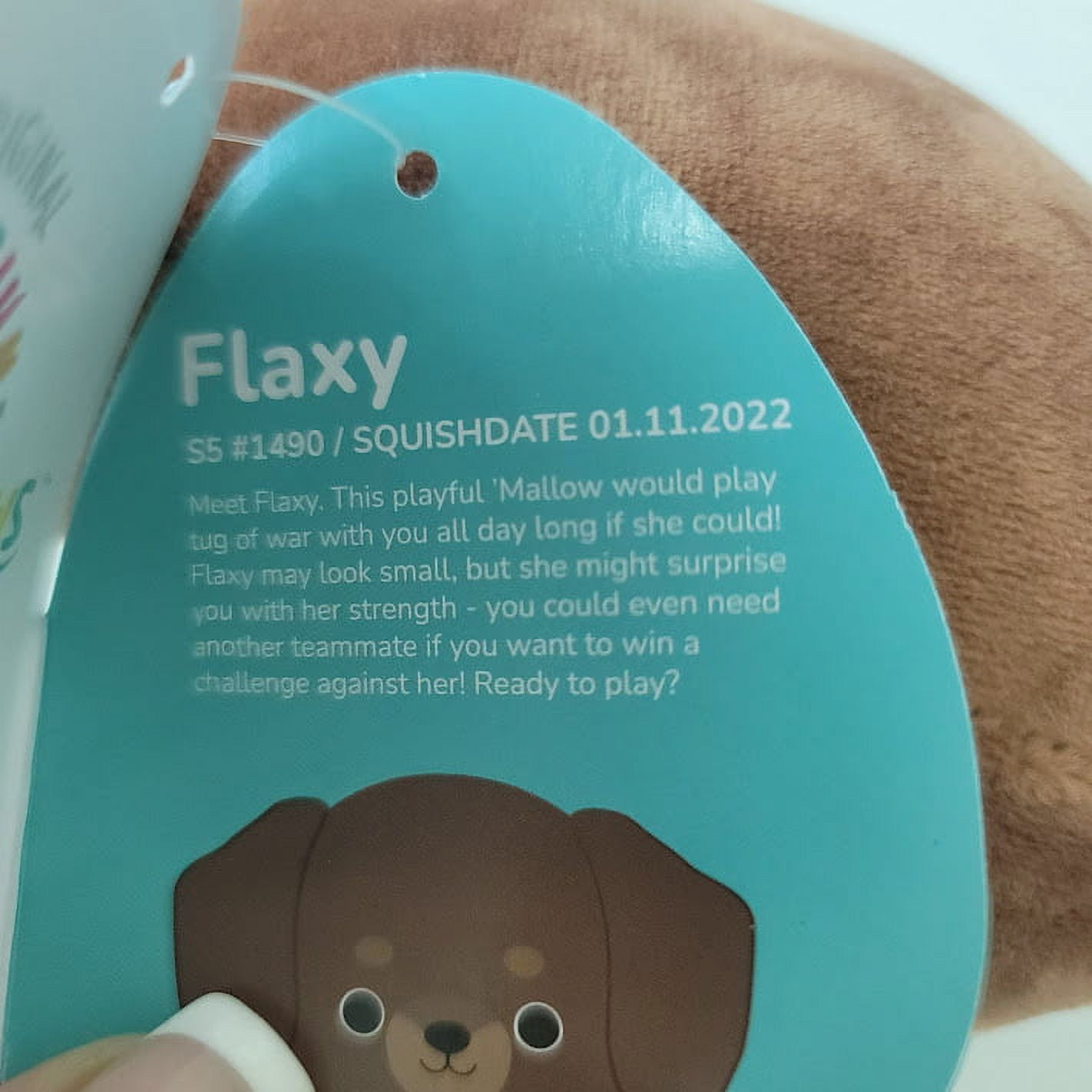 Flaxy Dachshund Squishmallows Plush, Plush, Free shipping over £20