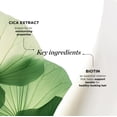 thumbnail image 4 of Champú revitalizante para cuero cabelludo Dr. Groot con biotina, centella, 200 ml, 4 of 8