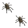 thumbnail image 1 of Kenally 1 uds/2 uds 3D pegatina de araña divertida cabeza de coche cola personalidad pegatinas de araña decoración DIY decoración Type2 NO2 Kenally CBP083044, 1 of 5