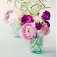 thumbnail image 2 of Gardner, Sarah 12x12 White Modern Wood Framed Museum Art Print Titled - Pink Ranunculus, 2 of 4