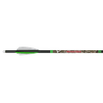 Loyalist Crossbow Bolt Heist: Secrets Revealed! - 82vathr