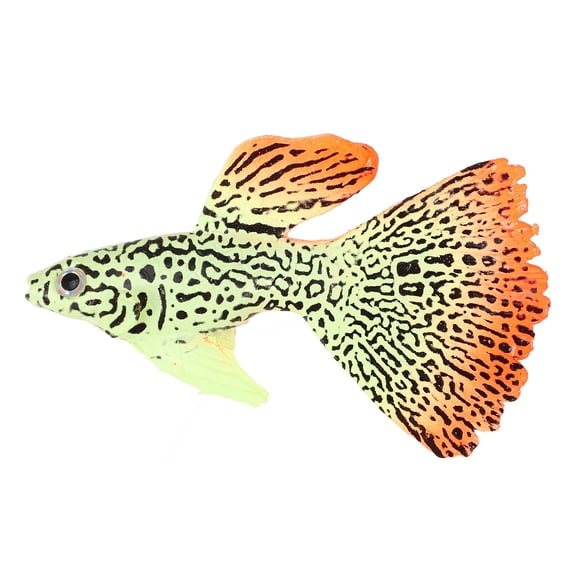 Unique Bargains Aquarium Artificial Tropical Fish Ornament Glowing Simulation Decoration with Suction Cup Yellow Orange
