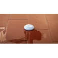 thumbnail image 4 of Shelly Inondations, 4 of 6