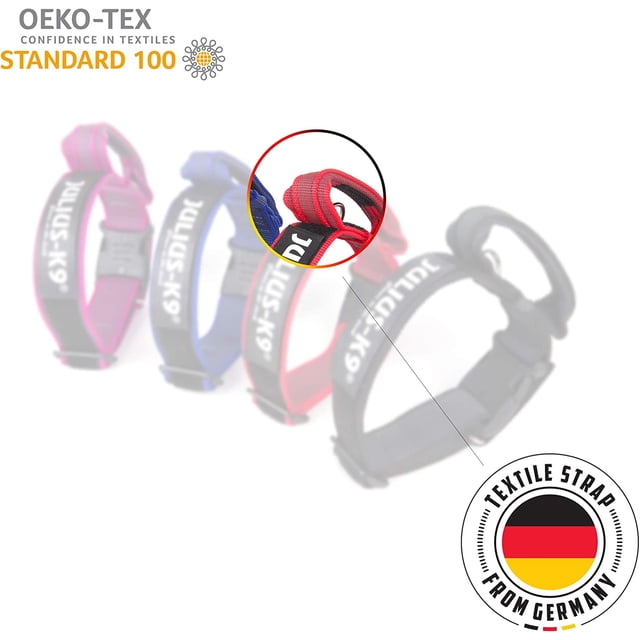 , Collar Color & Grey con asa, cierre de seguridad y logo, 40 mm (38-53 cm), Negro-Gris Zhivalor XDCW-38-4