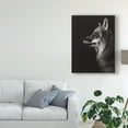 thumbnail image 3 of Trademark Fine Art 'Black Glimpse V' Canvas Art by Julie T. Chapman, 3 of 4