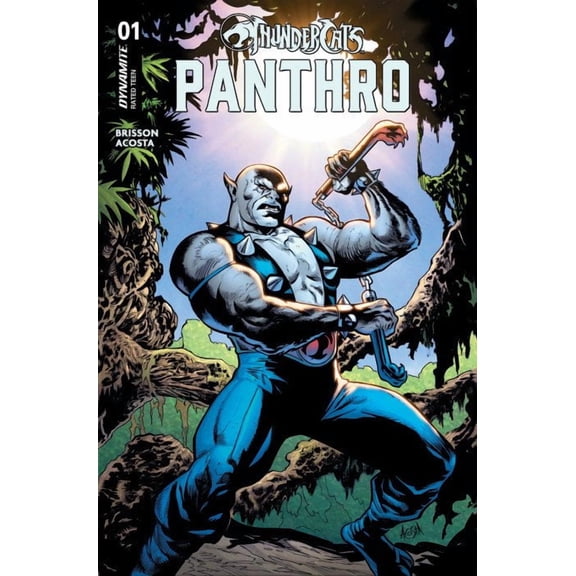 ThunderCats: Panthro #1A VF ; Dynamite Comic Book