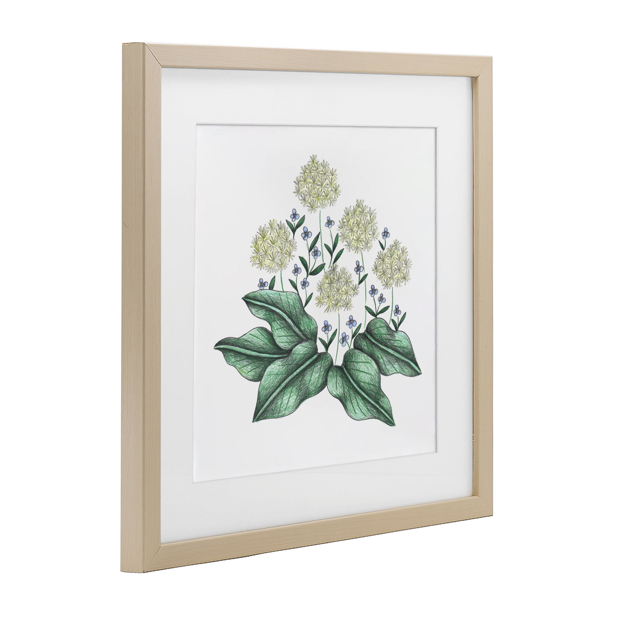 Hello Wildflower Vintage Sketch Birch Framed Print Under Glass, design by Cecilia Battaini
