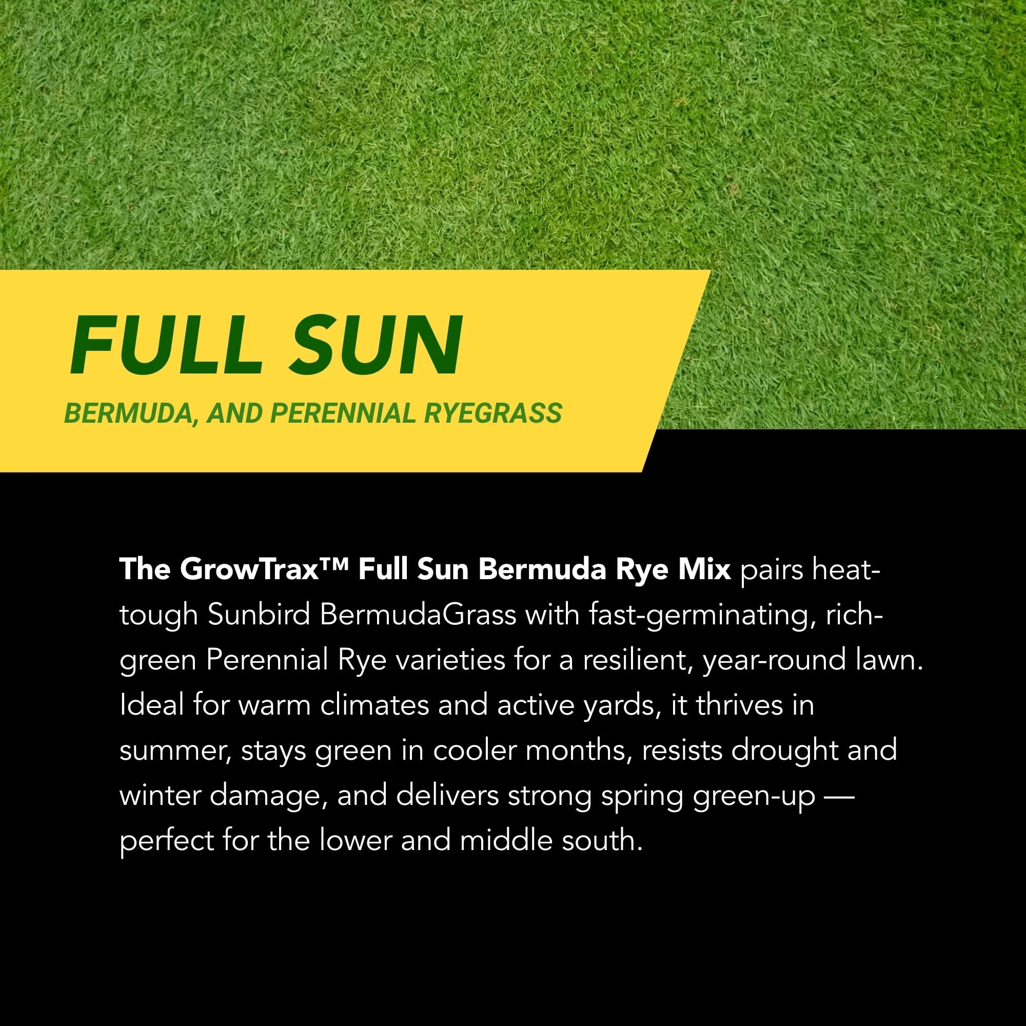 GrowTrax 50-ft. x 1-ft. Full Sun, Bermuda Rye Mixture Grass Seed