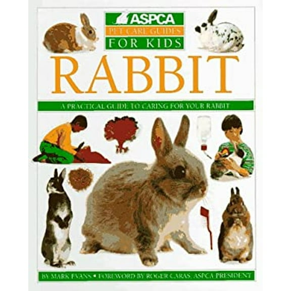 Pre-Owned Rabbit (Hardcover) 9781564581280