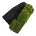 thumbnail image 2 of Artificial Turf Fake Moss for Craft Ornament Garden Yard DIY Decoration, 2 of 9