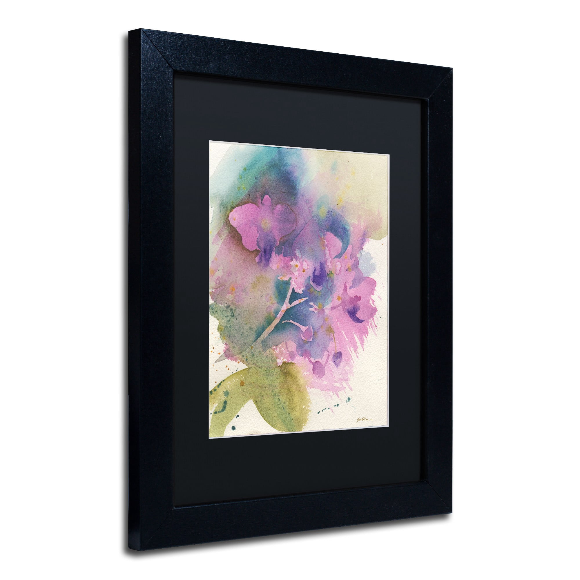 Trademark Fine Art "Orchid Dream" Canvas Art by Sheila Golden Black Matte, Black Frame