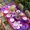 DeepPink Purple, variant on Watercolor Flowers Table Cloths for 4 Foot Rectangle Tables, Spring Floral Country Pink Purple Patio Waterproof Elastic Fitted Tablecloths, Washable Rectangular Table Cover for Camping
