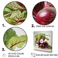 thumbnail image 3 of Designart "Deep Red Beetroot Underneath" Animals Bee Wall Decor, 3 of 7