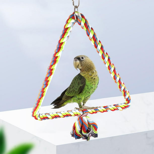 Macaw accessories discount