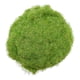 thumbnail image 1 of Modelo de hierba en polvo Césped para terreno de hierba de tierras bajas en miniatura DIY Verde, 1 of 6