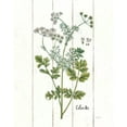 thumbnail image 2 of Schlabach, Sue 12x14 Gold Ornate Wood Framed with Double Matting Museum Art Print Titled - Cottage Herbs III, 2 of 4