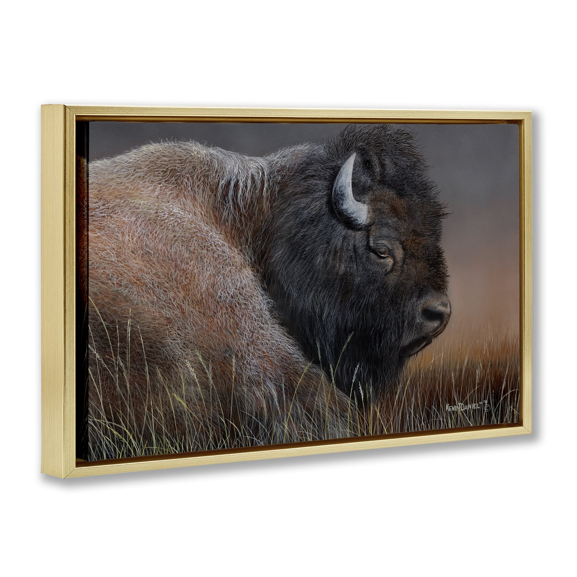 Stupell Industries Detailed Bison Close Up Animals Painting Gold Floater Framed Canvas Art Print Wall Art, 31 x 21