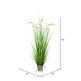 thumbnail image 2 of Vickerman 48" Artificial Potted Green Grass and Cattails., 2 of 4