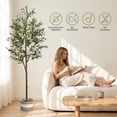 thumbnail image 2 of pansass Artificial Olive Tree, 6FT Fake Plants Indoor, Faux Tall Olive Tree with 936 Leaves & 52 Lifelike Fruits for Home Office Outdoor Room Decor, 2 of 11
