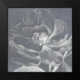thumbnail image 2 of Loreth, Lanie 12x12 Black Modern Framed Museum Art Print Titled - Neutral Floral Drawing II, 2 of 5