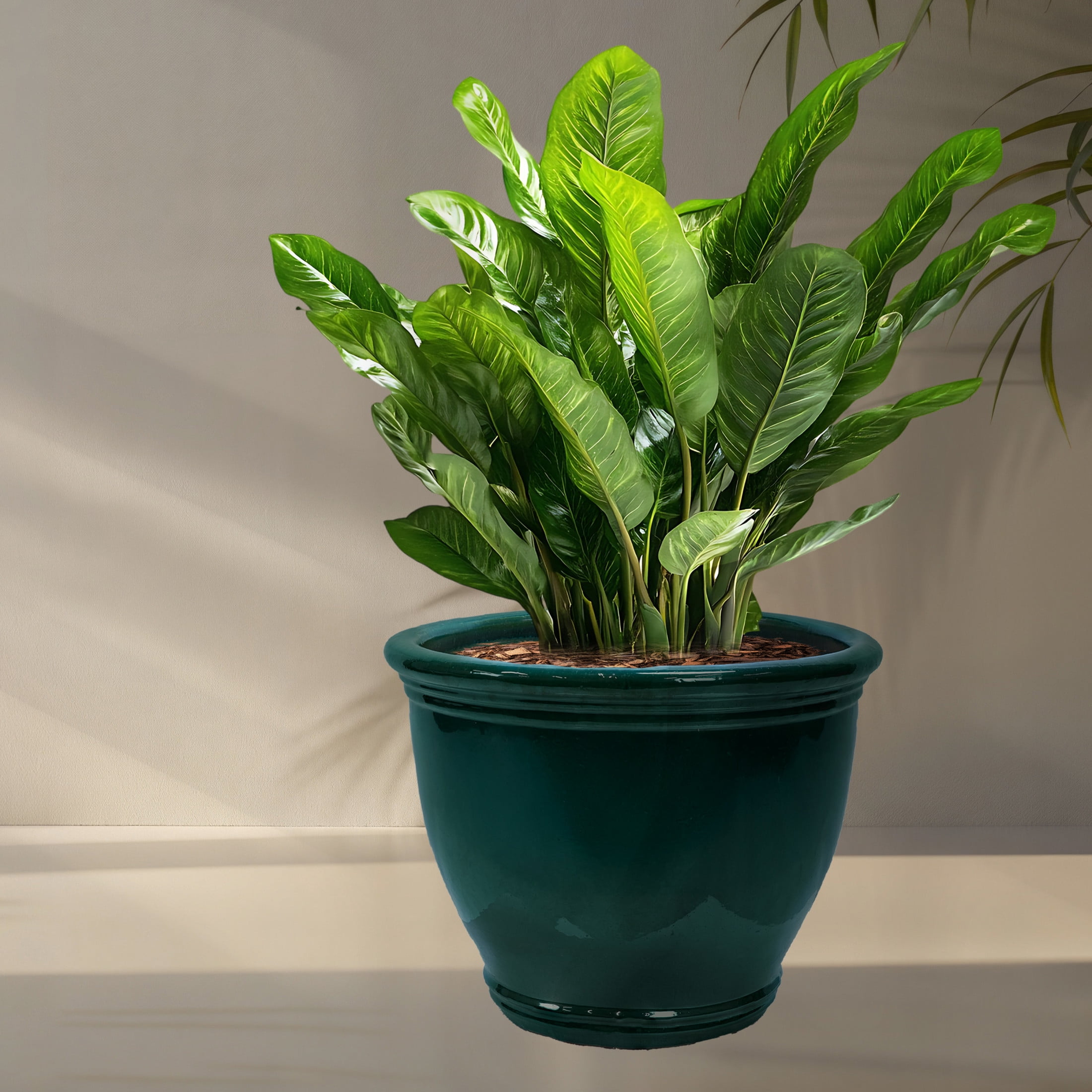 Sunnydaze Studio 18.5" x 18.5" x 15" H Round Dark Green Ceramic Solid Plant Pot