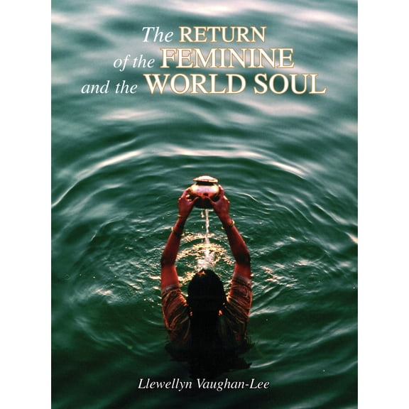 Pre-Owned The Return of the Feminine and the World Soul (Paperback) 1890350141 9781890350147