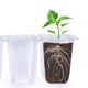 thumbnail image 3 of Bandeja para plántulas con orificio de aire cubierto, maceta para siembra de plántulas, para germinación de semillas, crecimiento de propagación, 3 of 6