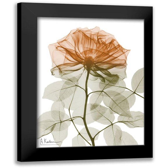 Koetsier, Albert 12x14 Black Modern Framed Museum Art Print Titled - Urban Jungle Rose 1