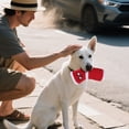 thumbnail image 3 of Chew Toys for Dogs - Robust Cuddly Dog Socks for Interactive and Chewing, 3 of 4