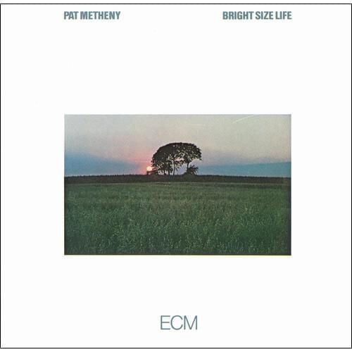Pat Metheny - Bright Size Life