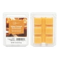 thumbnail image 4 of Mainstays Salted Caramel Butterscotch, Scented Wax Melt, 1.25 oz, 4 of 6