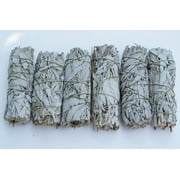 Bundle of 6 Sticks White Sage California Smudge Stick 4" inch Long