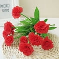 thumbnail image 5 of BAETEUY 1 Bouquet Artificial Carnation Exquisite Non-fading 10 Heads Mother Day Gift Simulation Flower for Home, 5 of 8