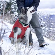Kurgo Loft Dog Jacket, Chili Red/Charcoal, Medium | Reversible Dog Coat, Great for Cold Weather, Water-Resistant, Lightweight, Reflective Trim, 2-Way Zipper for Harness Access