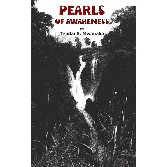 Pearls of Awareness (Paperback)