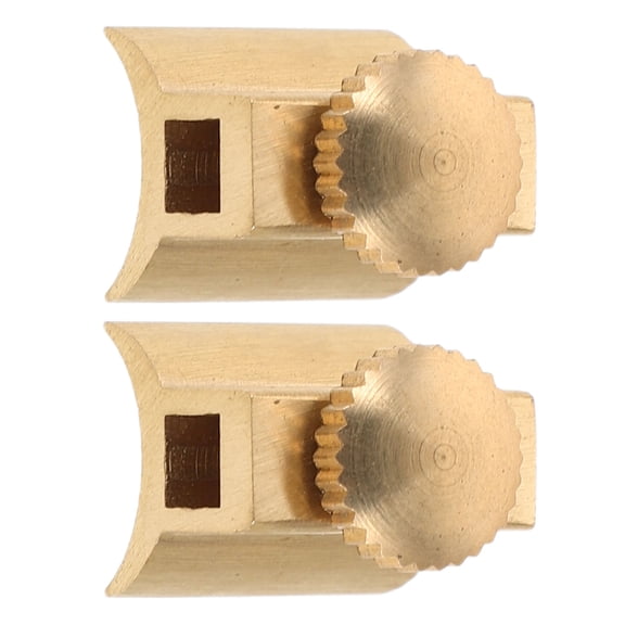 FOMIYES 2Pcs Tiny Brass Instrument Screws Copper Repair Kit for Flute and Trumpet Hardware