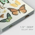thumbnail image 3 of Collected Flutter I Premium Gallery Wrapped Canvas - Ready to Hang, 3 of 9
