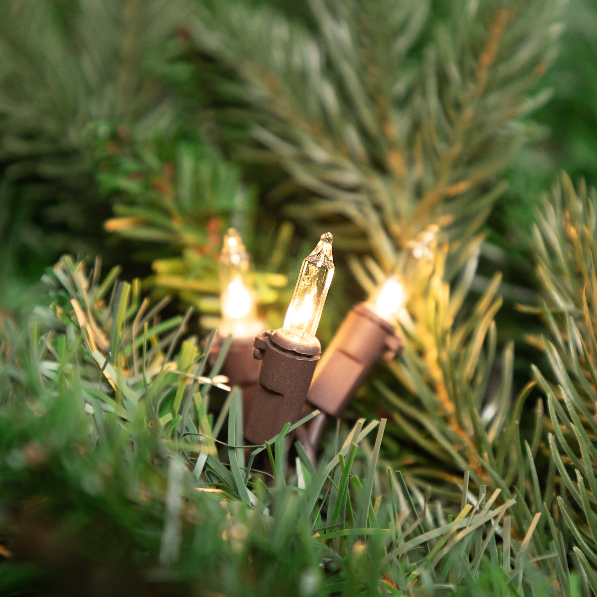 Set of 300 Clear Mini Christmas Lights 2.5" Spacing - Brown Wire