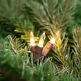 thumbnail image 2 of Northlight Mini Incandescent Christmas Lights - Clear - 4' Brown Wire - 20ct, 2 of 6