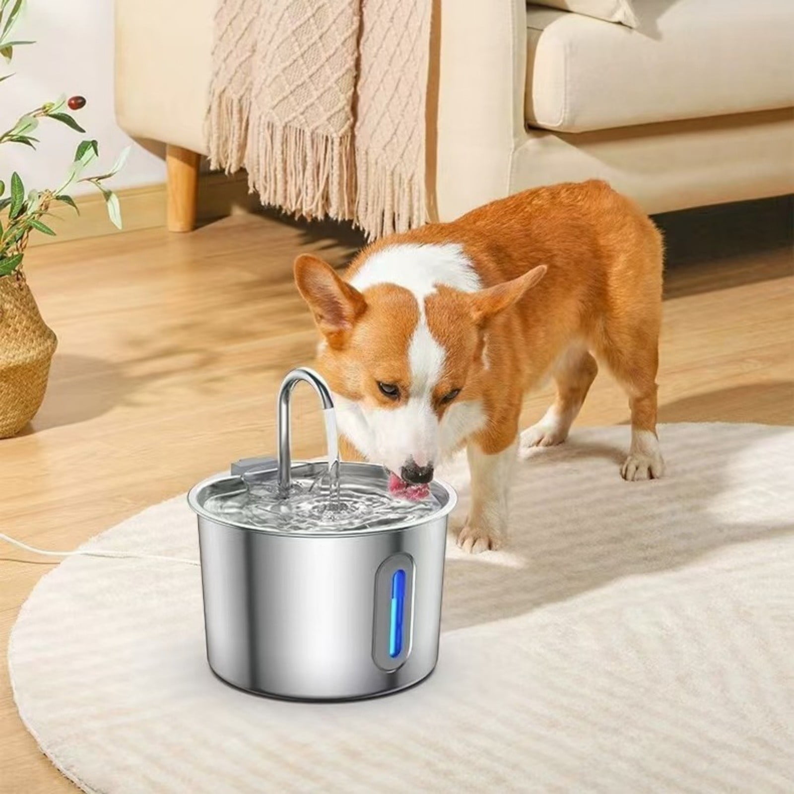 Automatic Pet Water Dispenser Stainless Steel with Faucet Window Large Capacity for Cats and Dogs Indoor Use