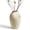 11.5" Beige White, variant on LE TAUCI 11.5" Ceramic Vase, Large Ceramic Rustic Vase, Farmhouse Decorative Flower Vase for Home Decor, Living Room, Shelf, Entryway & Table Centerpieces Ceramic Vase(Speckled Gray)