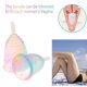 thumbnail image 5 of Muyoka Copa Menstrual de silicona médica, productos de higiene femenina reutilizables, Copa Menstrual orgánica, 1 Uds. Muyoka Hogar, 5 of 7