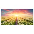 thumbnail image 2 of Tulipes Blanches en Fleurs - Photo de Paysage Impression sur Toile, 2 of 3