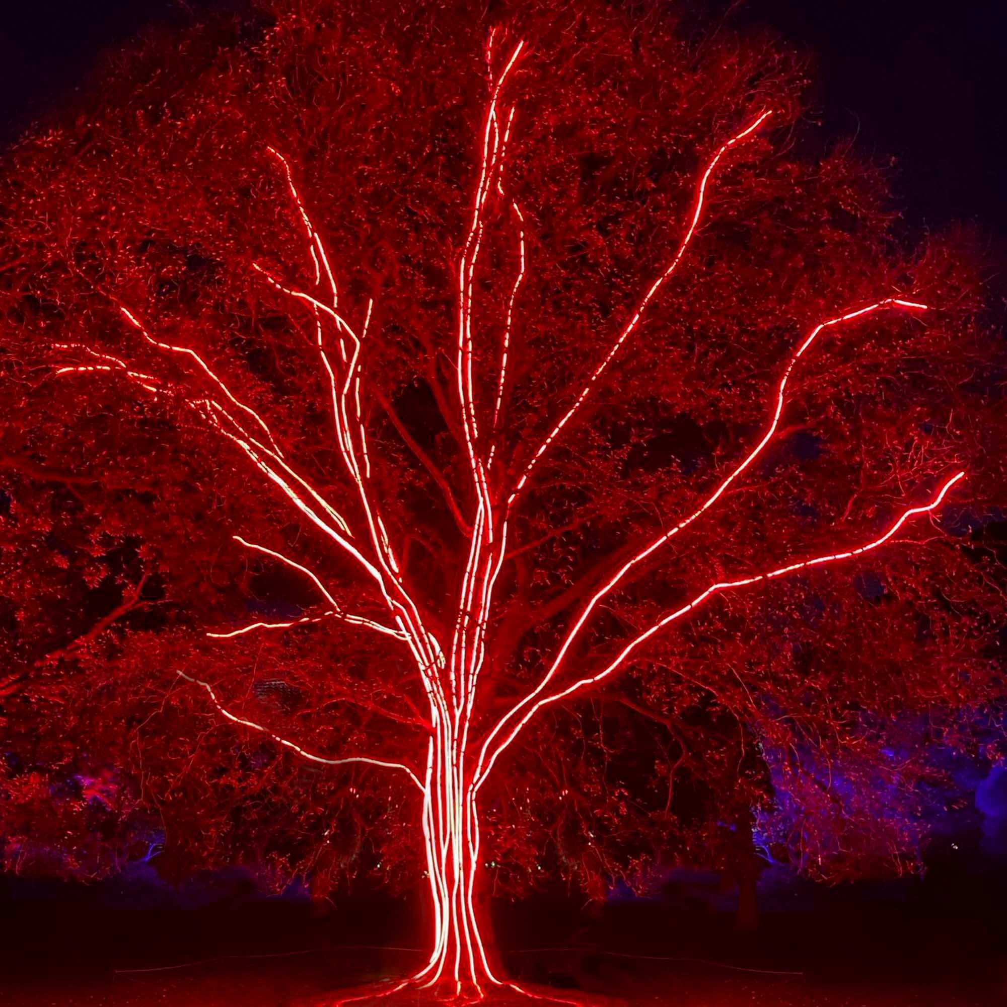 18 ft. LED Red Rope Light Kit, 216 Lights, Ready-to-Install Connectable Christmas Tube Light, Indoor-Outdoor Holiday Decorative Lighting, Mounting Clips Included