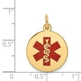 thumbnail image 2 of 14k Medical Jewelry Pendant in 14k Yellow Gold, 2 of 2